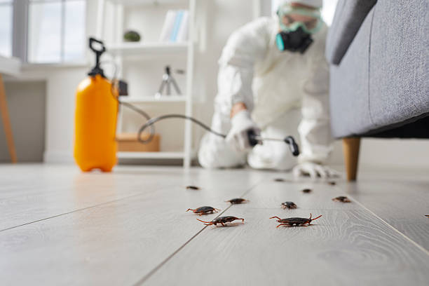Commercial Kitchen Cockroach Control in San Pablo